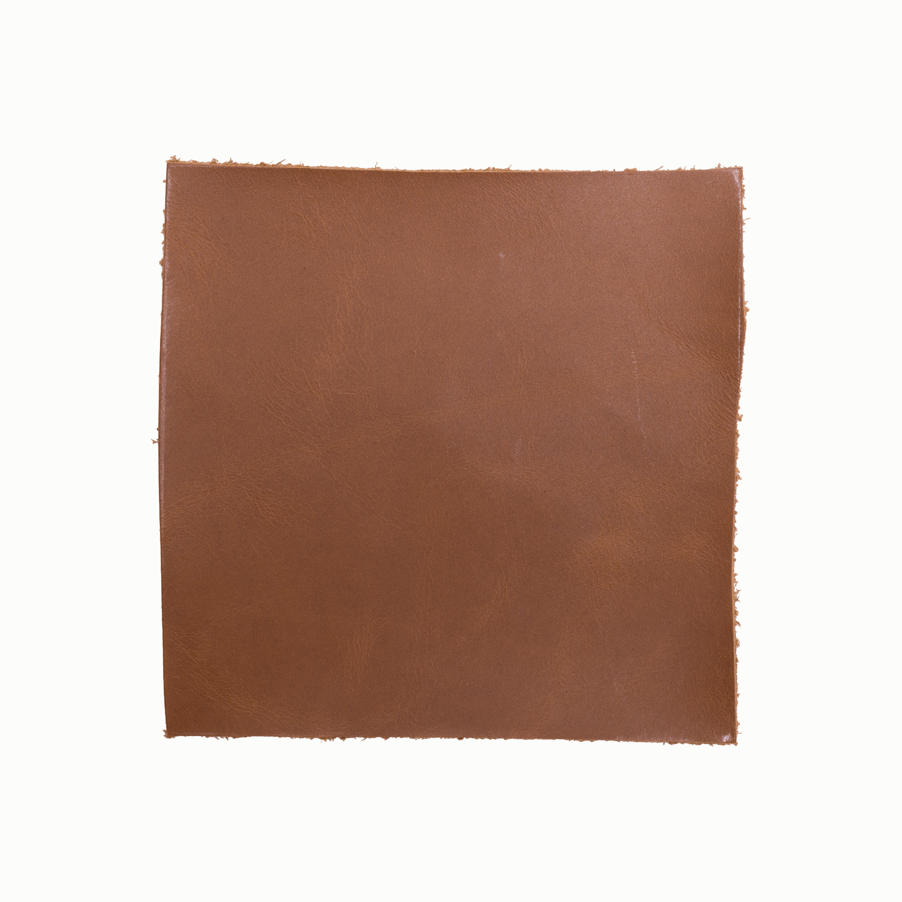 Molly Series Sample