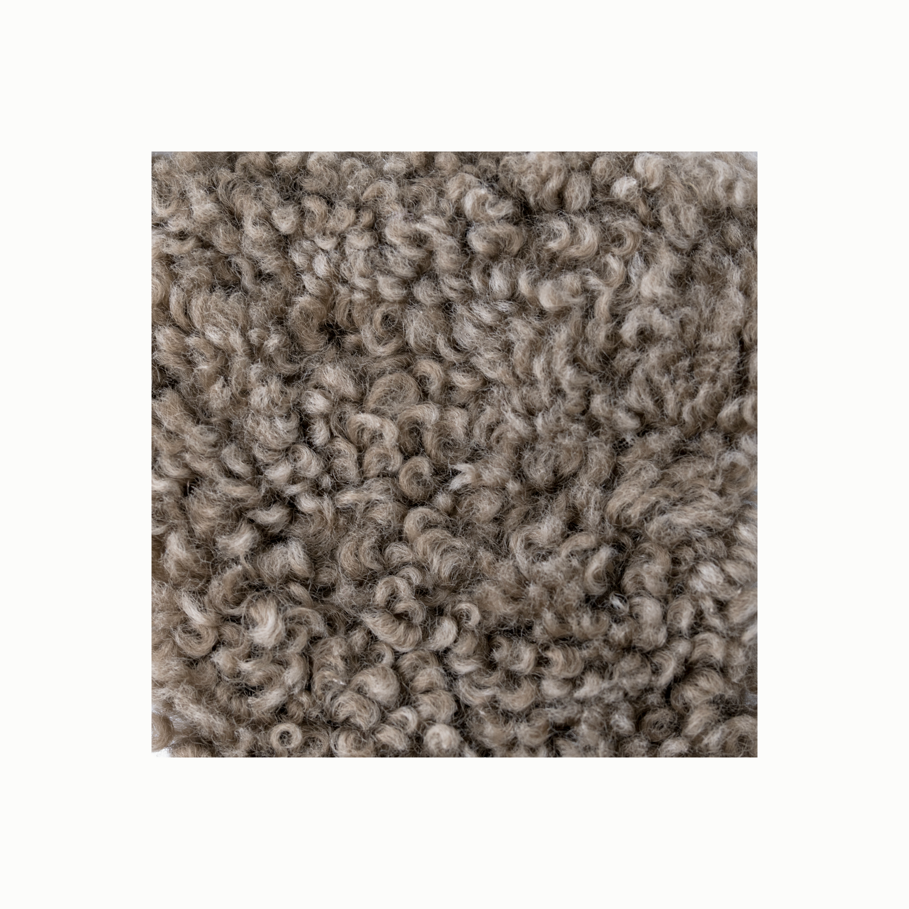 Theo Shearling Swatch